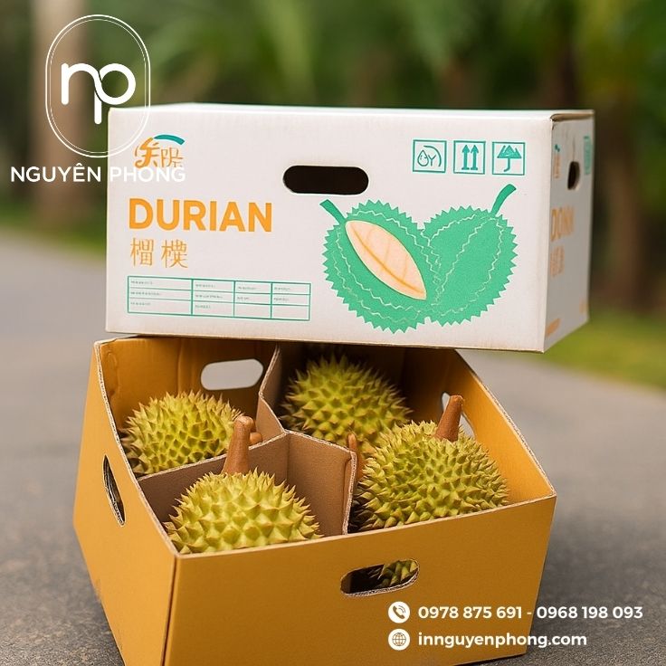 Thùng carton đựng sầu riêng in logo thương hiệu